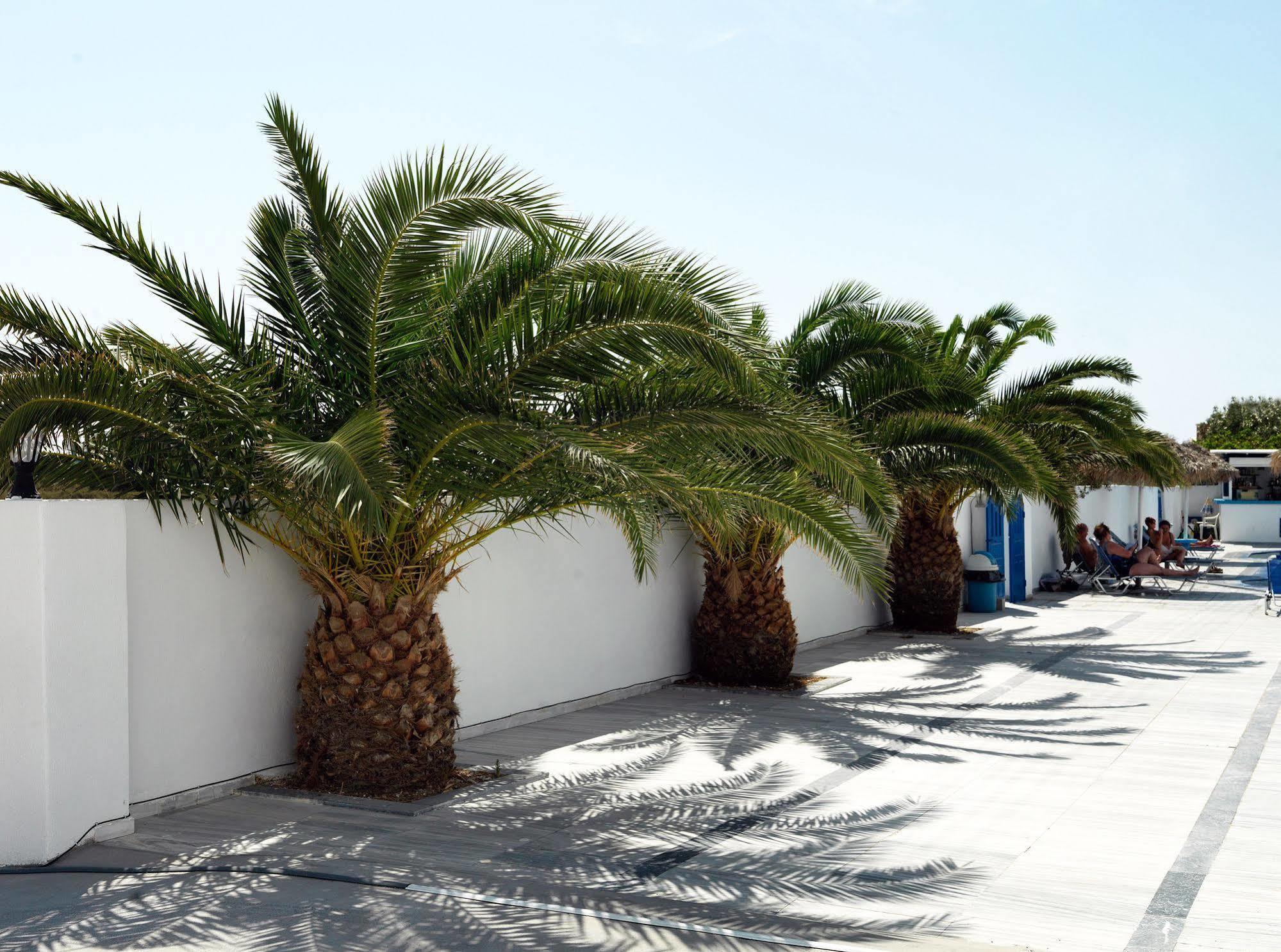 Villa Valvis Perissa  Dış mekan fotoğraf